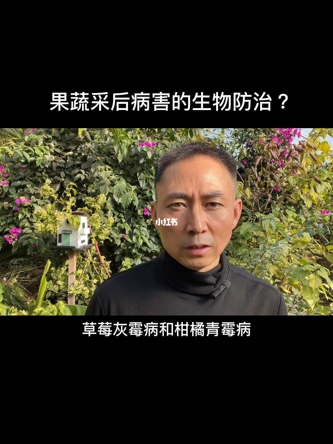 种植前准备工作对果蔬病害预防的重要性的简单介绍