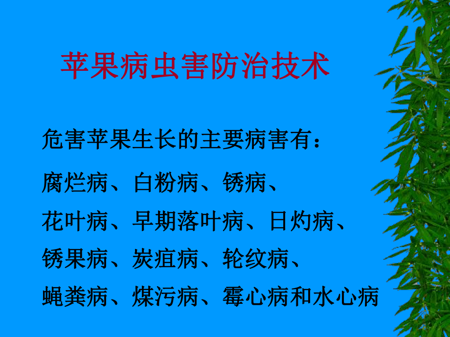 关于常见果蔬病虫害及其有效预防措施的信息