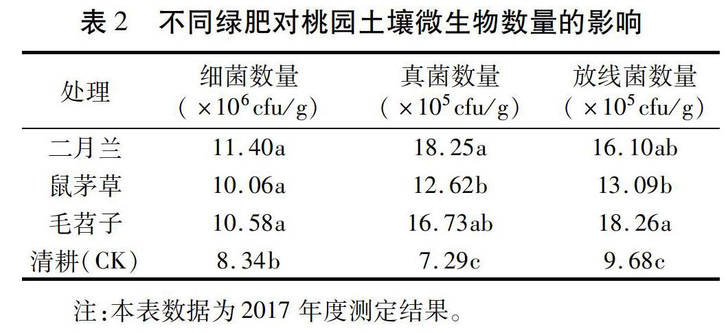 使用绿肥改善土壤肥力的实践指南