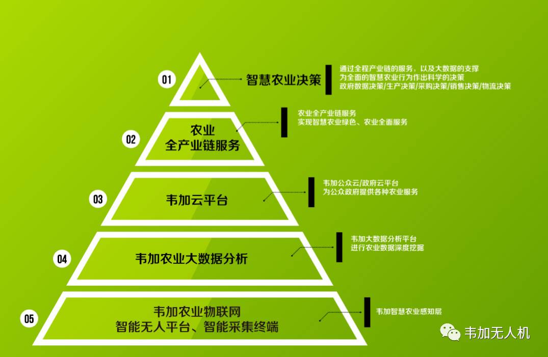 未来果蔬种植的绿色农业解决方案