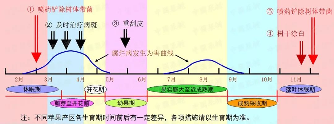 果蔬种植中环境因素对病害的影响