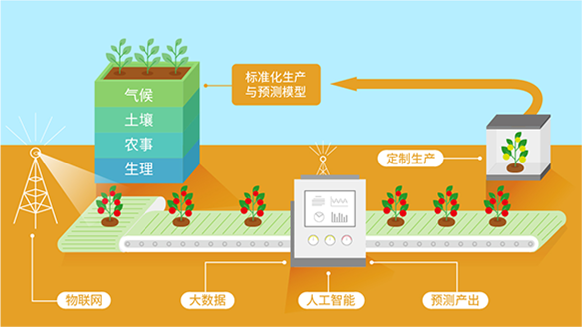 创新生态农业模式下的果蔬种植技术