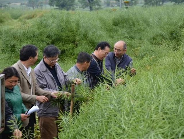 实施轮作制度在果蔬种植中的环境意义