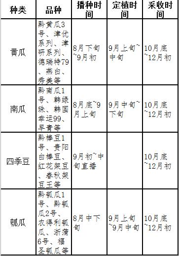 初学者如何挑选果蔬种植品种