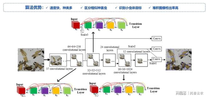 深度学习在果蔬病虫害监控中的应用