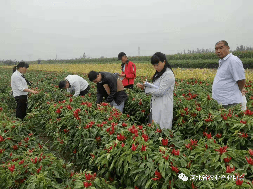 发展会员制度对果蔬种植销售的影响