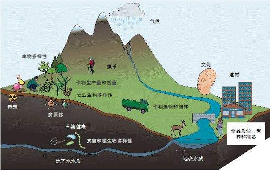 从土壤管理到果蔬健康：病虫害预防全攻略的简单介绍