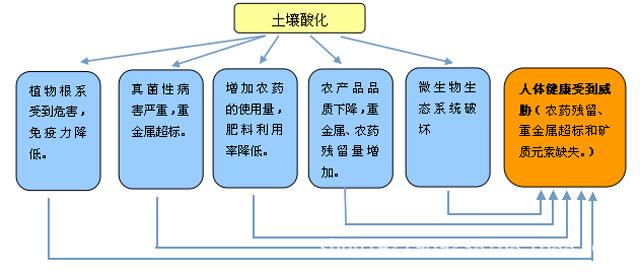 从土壤管理到果蔬健康：病虫害预防全攻略的简单介绍