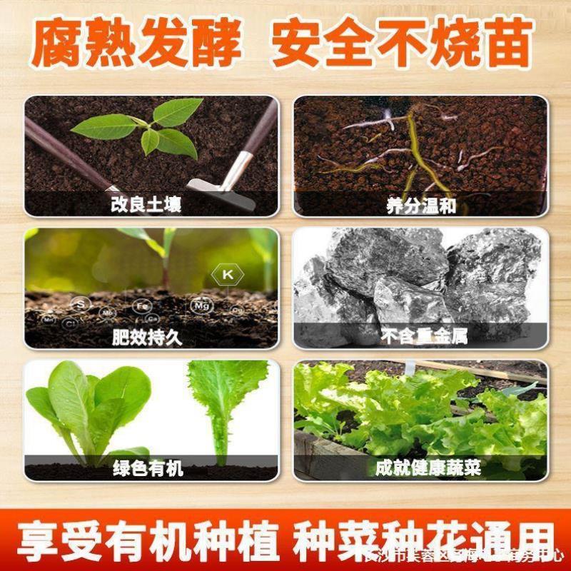 有机肥料的施用时间和方法对果蔬的影响