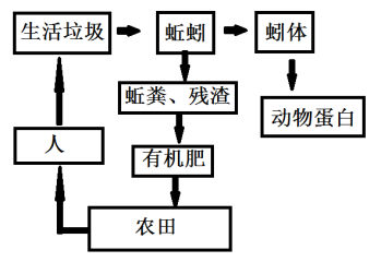 果蔬种植的生态农业系统：促进农场生态平衡的关键措施