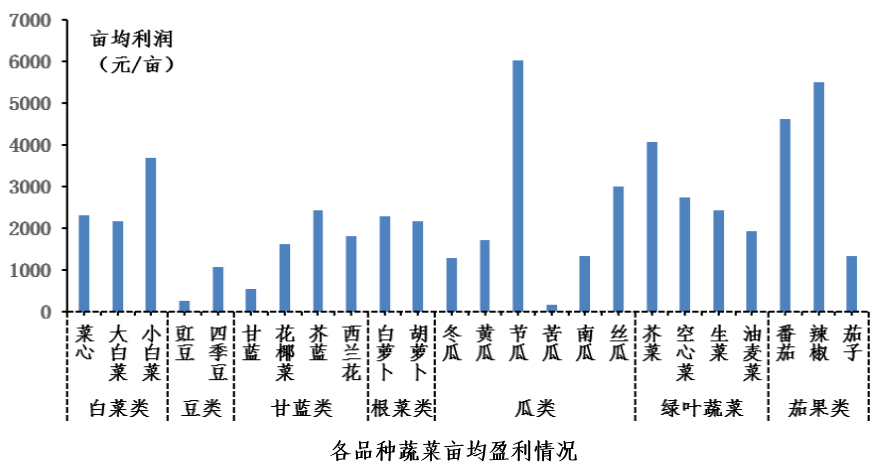 数据驱动的果蔬种植市场趋势分析