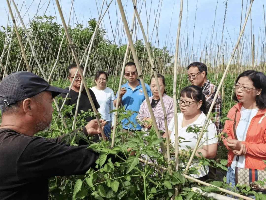 高产果蔬种植的创新技术和实践