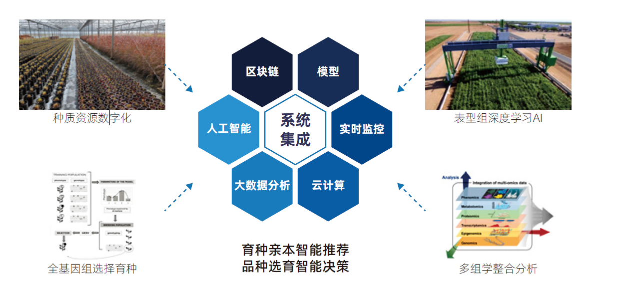 包含数字农业在果蔬种植中的成本效益分析的词条