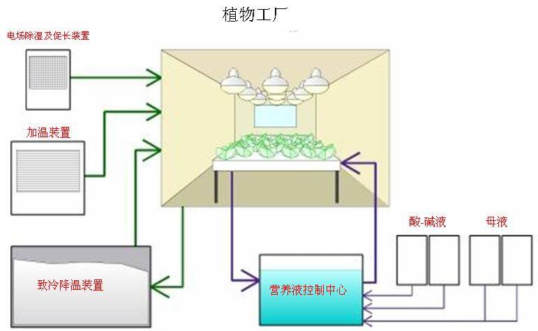 果蔬种植生产中的环境控制技术