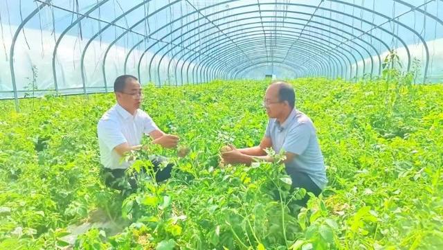 社会经济因素对果蔬种植市场的预测