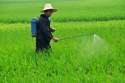 如何在果蔬种植中实现农药的精准使用