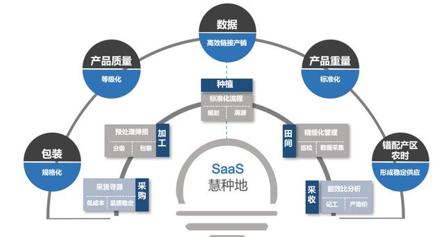 果蔬种植市场中供应链管理的关键因素