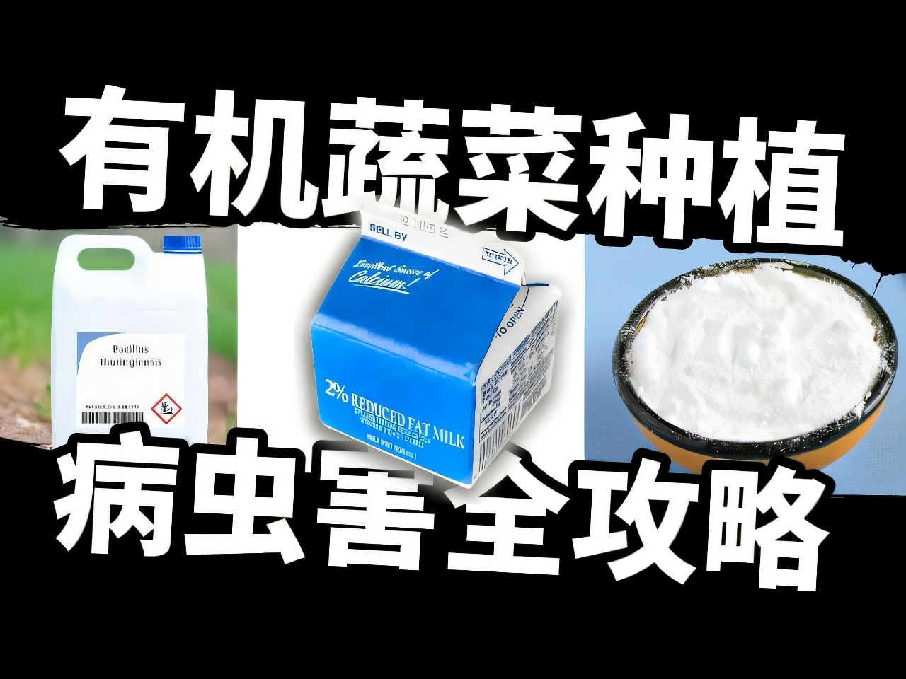 病虫害防治对果蔬种植产量的影响