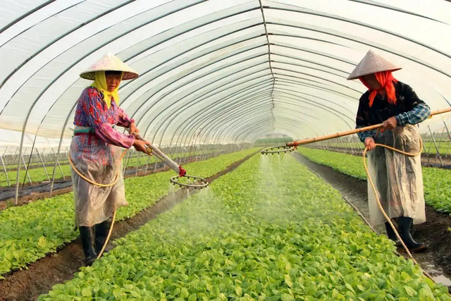 病虫害防治对果蔬种植产量的影响