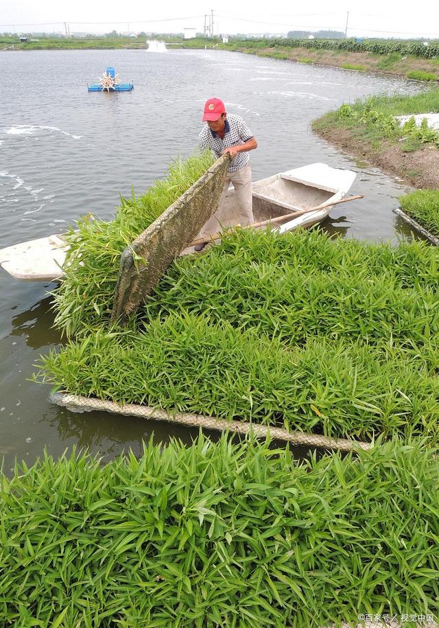 浅析果蔬种植中的灌溉水质管理