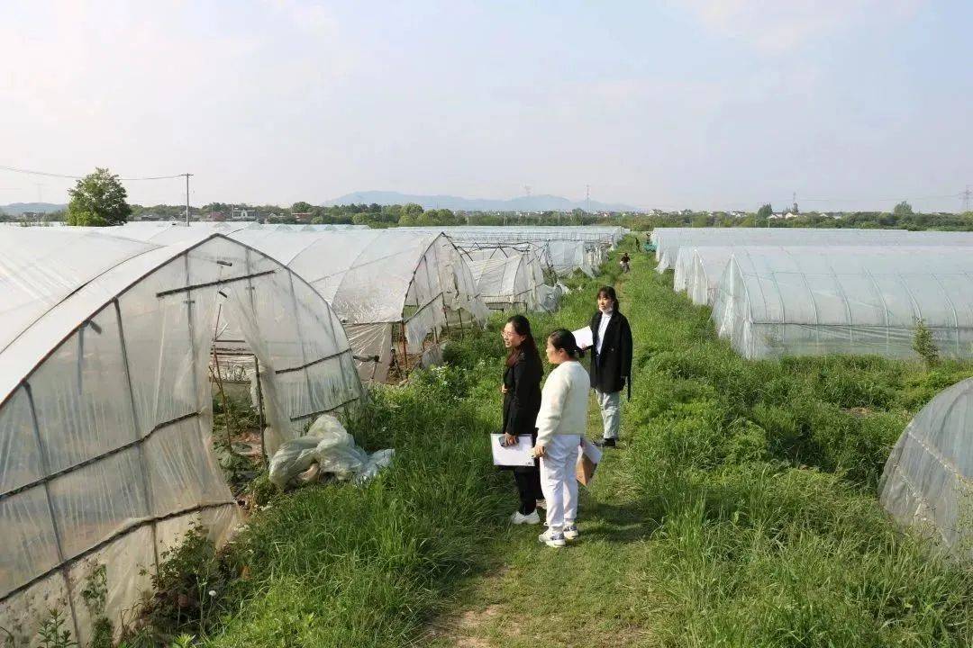 规划家庭农场果蔬种植的资源管理