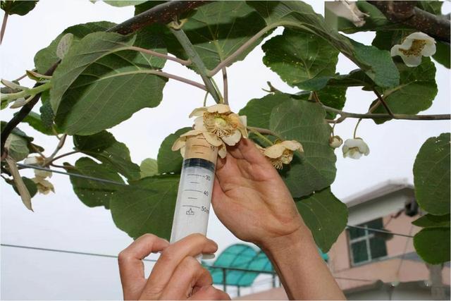 如何在寒冷季节优化果蔬种植环境