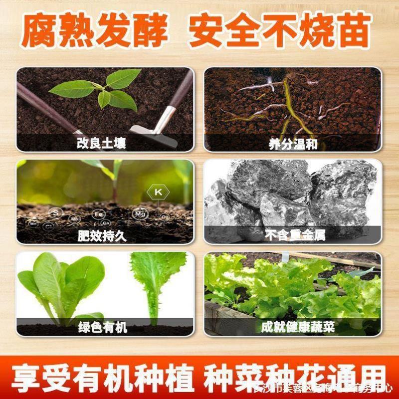 果蔬种植中土壤结构的保护与修复方法