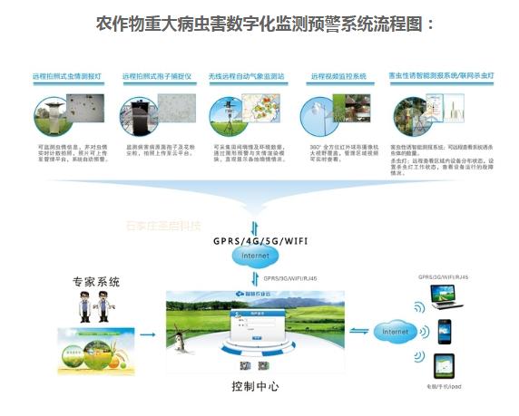 果蔬种植病虫害防治的现代科技应用