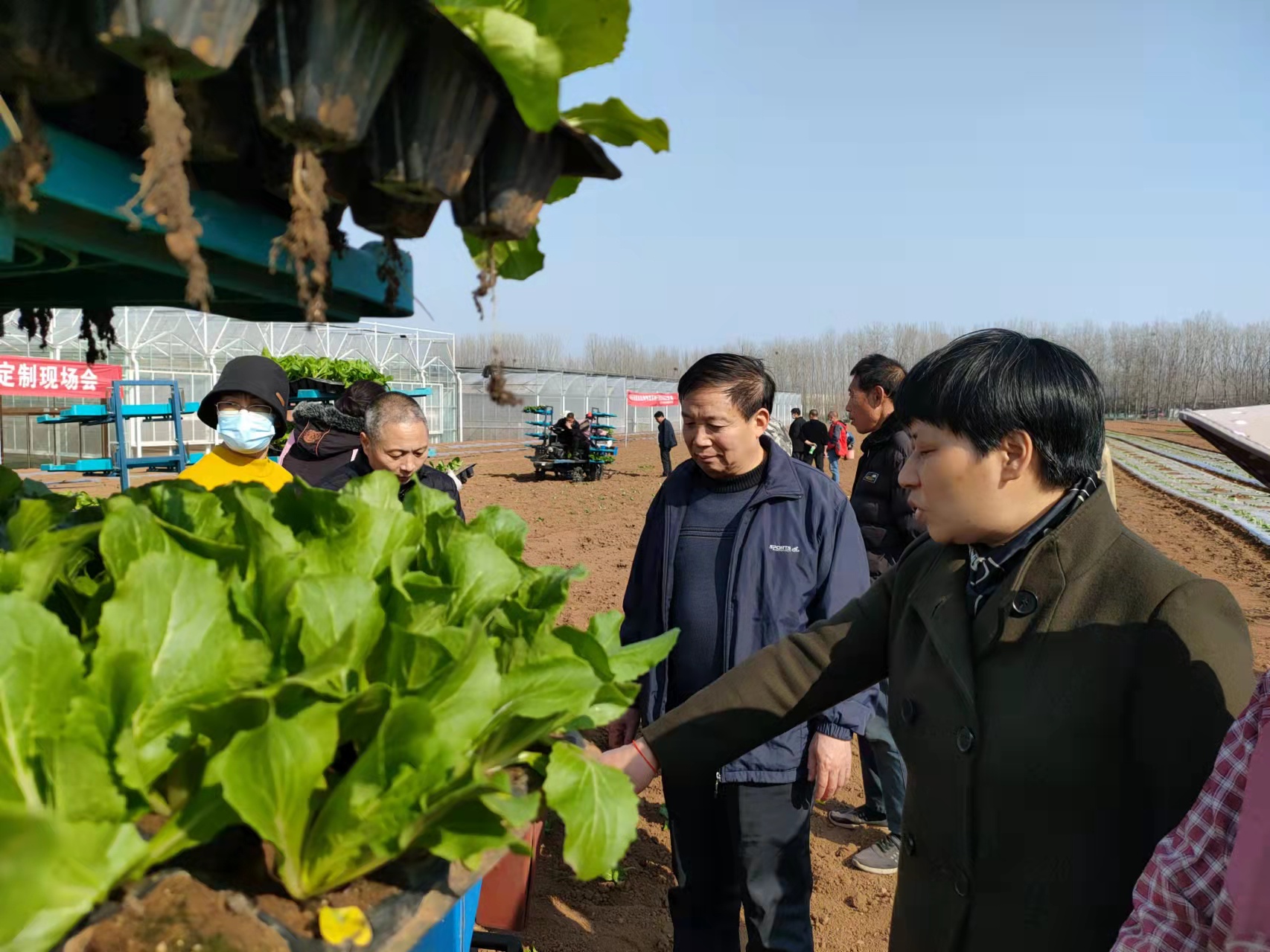 针对不同客户群体的果蔬种植市场推广技巧