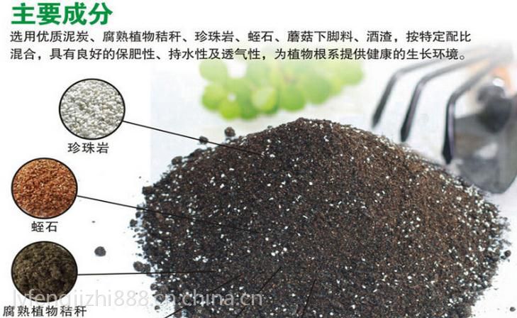 精确测定土壤营养成分对果蔬种植的影响