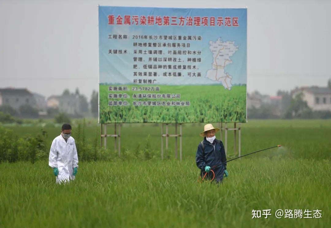 生态农业方法提升果蔬土壤健康的策略