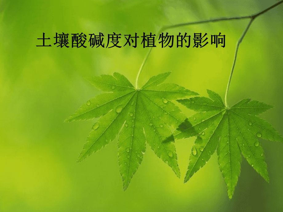 土壤酸碱度对果蔬生长的影响及调节方法