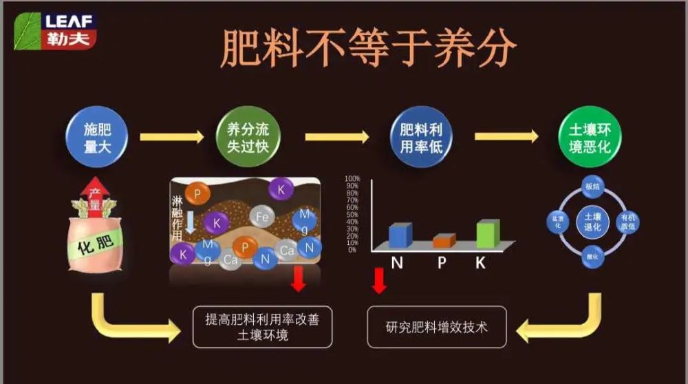 高产果蔬的最佳施肥策略