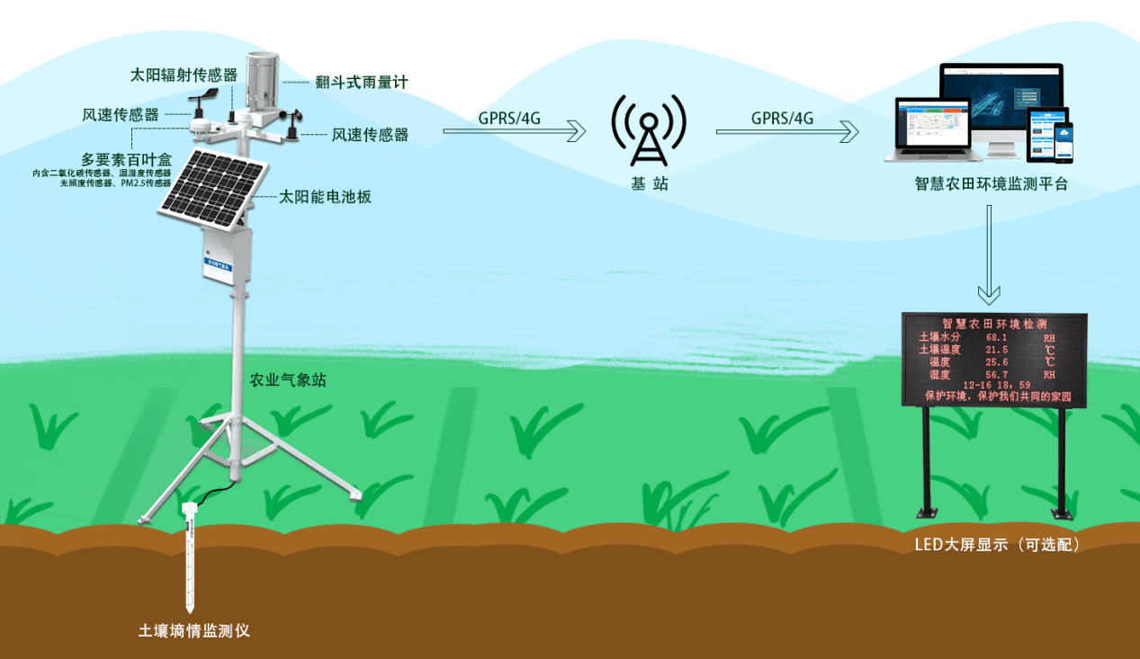 智能农业：如何通过传感器技术优化果蔬种植