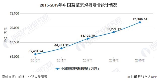 果蔬种植市场的区域需求与发展趋势