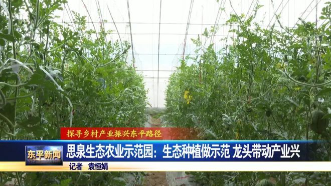 生态农业管理如何改善果蔬种植的水资源利用