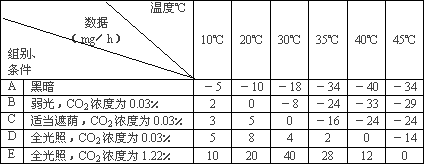 影响果蔬产量的环境因素及其预测方法