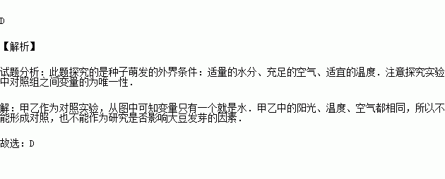 影响果蔬种子品质的因素分析