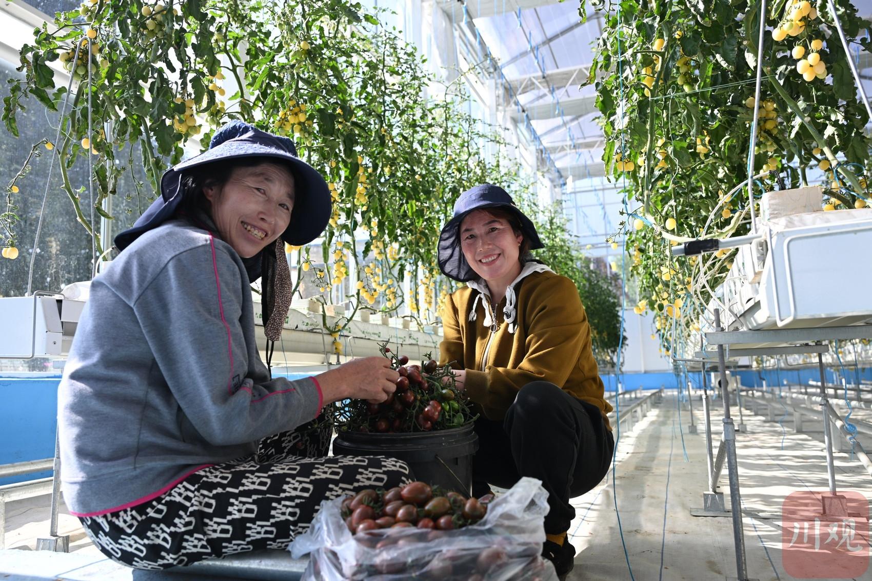 精准农业技术在果蔬种植管理中的应用