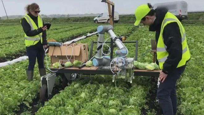 自动化设备如何提高果蔬种植效率