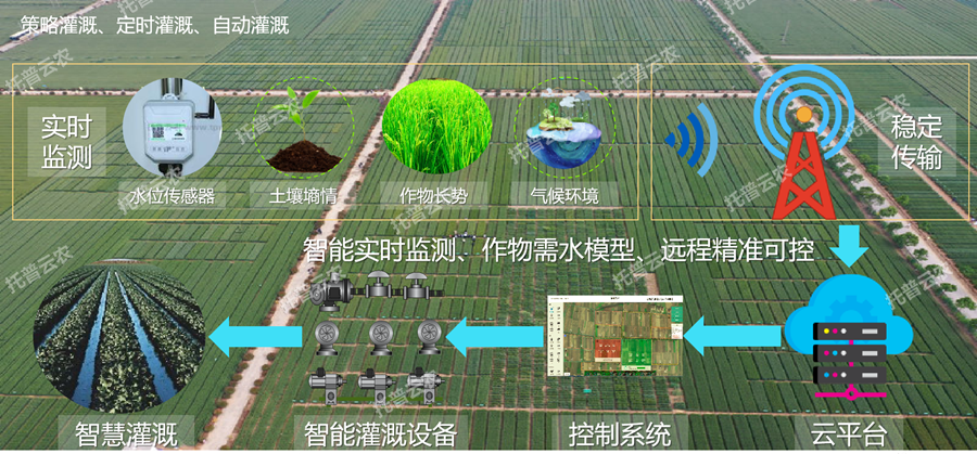 智能化灌溉系统如何提升果蔬种植的水资源利用率