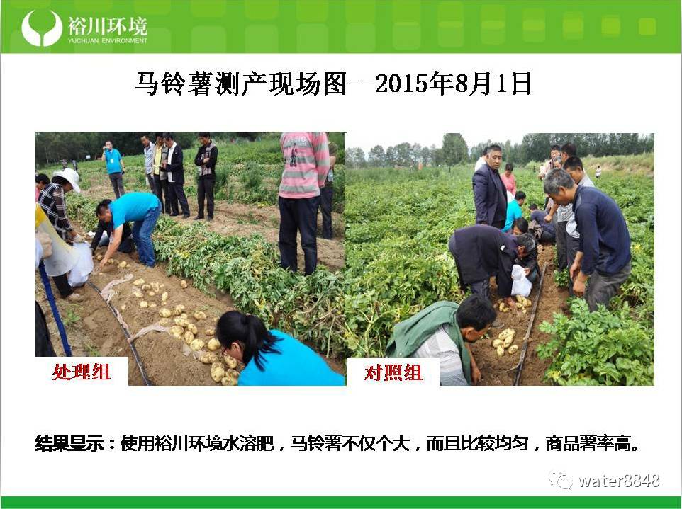 如何在生态农业中实现果蔬种植的可持续发展