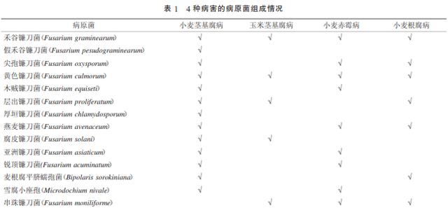 影响果蔬健康的常见病虫害及其防治策略