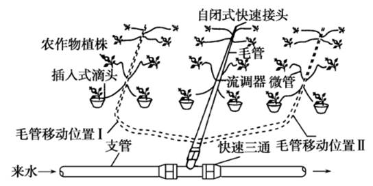 高效滴灌系统在果蔬种植中的应用与优势