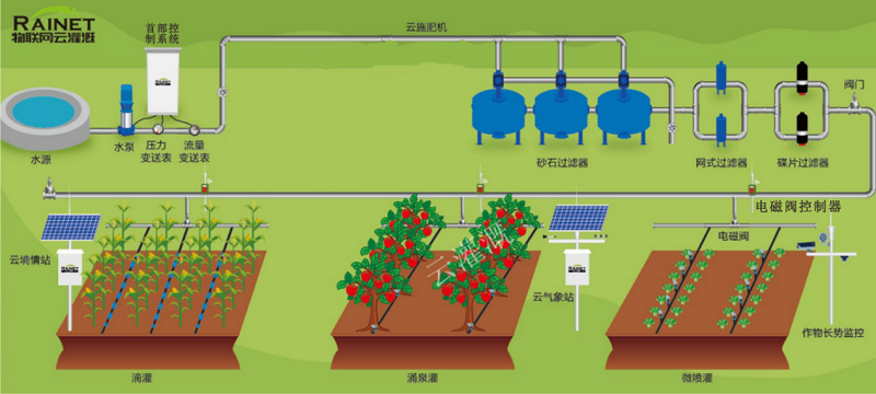 高效滴灌系统在果蔬种植中的应用与优势