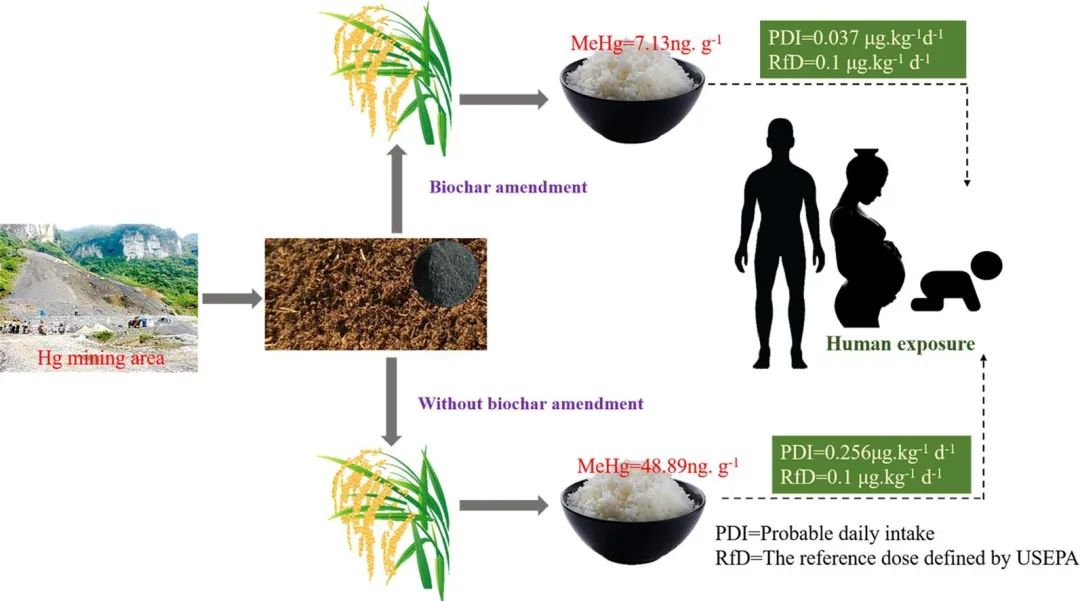 生物炭对果蔬土壤保护的影响分析