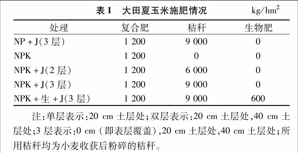 深入了解土壤肥力对果蔬产量的影响