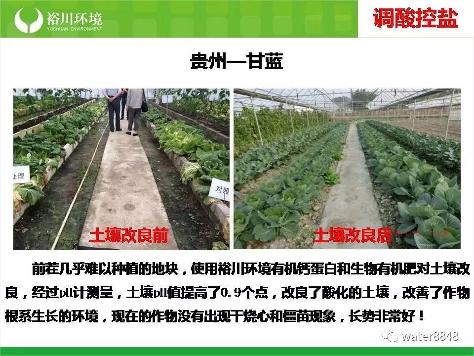 生态农业技术助力果蔬种植可持续发展的策略