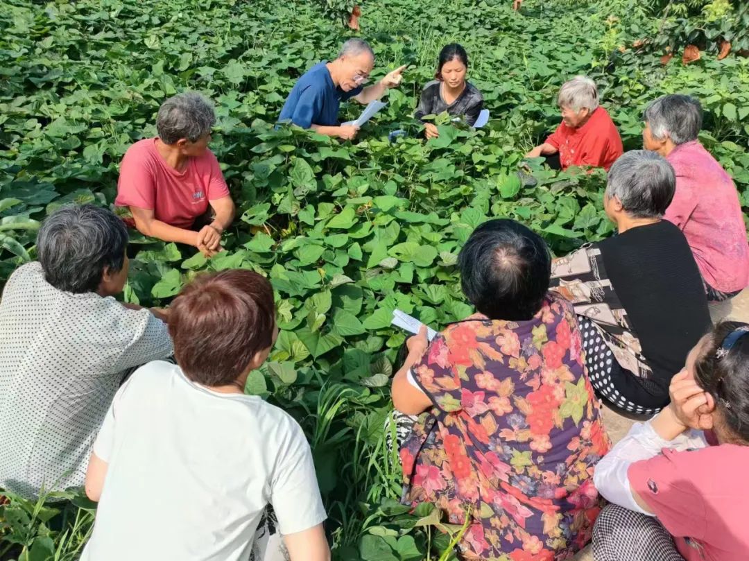 如何有效实施果蔬种植技术的培训课程