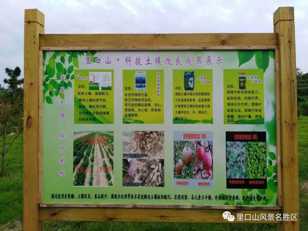 生态农业技术在提高果蔬种植可持续性方面的应用